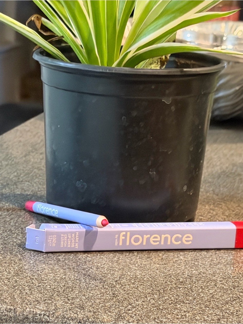 Florence by Mills Mark My Words Lip Liner – Poised (Pink)